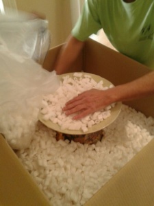 Protecció per la seva mudança a Bèlgica!