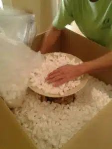 Protecció per la seva mudança a Bèlgica!