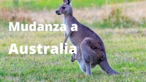 Mudanza a Australia